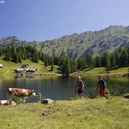 Schladming An Der Piste 5 Maistatt